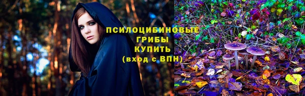 синтетический гашиш Медвежьегорск