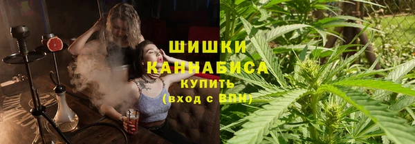 альфа пвп Медногорск