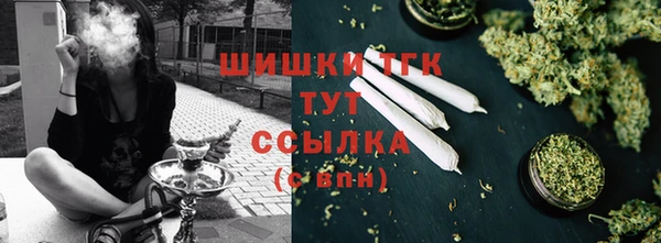 дурь Магас
