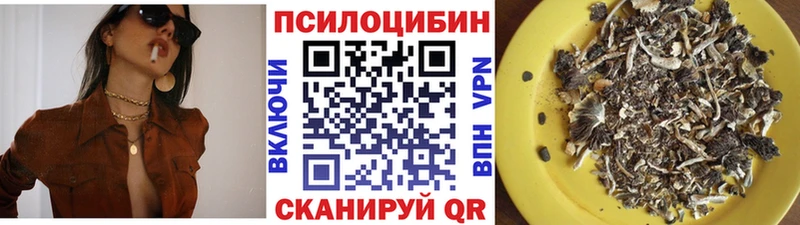 Псилоцибиновые грибы мухоморы  Купить где  Шадринск 
